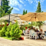 سالمندان آسمان